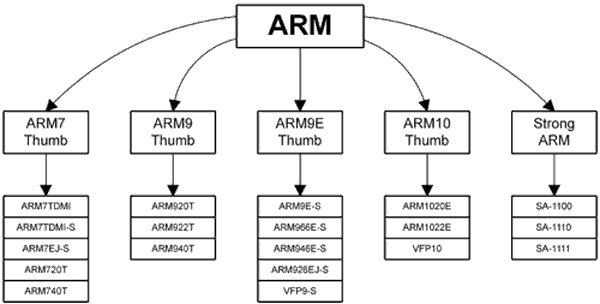    ARM.